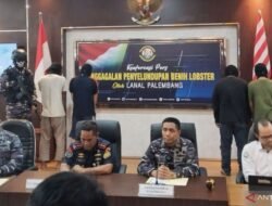 Pangkalan TNI AL Palembang gagalkan penyelundupan lobster ke Singapura