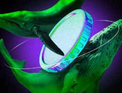 Apa yang Crypto Whale Beli untuk Mei 2025